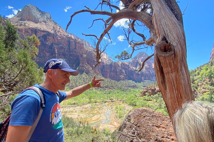 Private Guided Photography & Walking Tour of Zion National Park - Photo 1 of 25